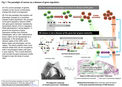 The end of the genetic paradigm of cancer 1