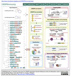 CRSIRPimmunity: CRISPR-Casシステムと抗CRISPRシステムの同定・検索を可能にするWebサーバー