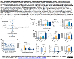CRISPR-Cpf1