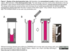 CRISPRメモ_2018/08/09 (16件)