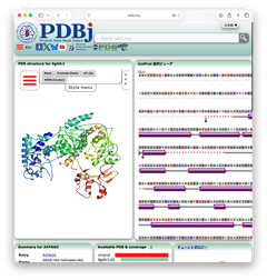 タイプI CRISPR -Casシステムの中で, Cas8とCas11サブユニットを欠損しているタイプI-F2によるDNA切断の構造基盤