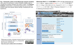 Metascpae 1