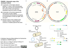 CRISPRメモ_2018/10/13 (6件)