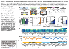 【nCATSの最適化】Cas9を用いた標的濃縮とナノポアシーケンスを組み合わせ、56種類のSTR伸長異常症を一括で精密診断