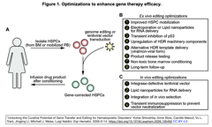 Latest Gene Therapy Technologies: Advances and Future Challenges in Hematopoietic Stem Cell Treatments