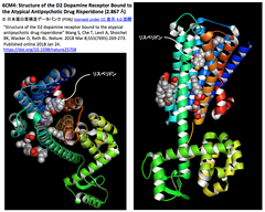 D2 Dopamine Receptor Bound to the Atypical