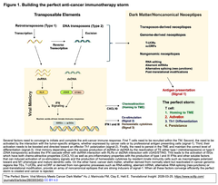 [レビュー] 癌の"ウイルス模倣 (virus mimicry)"と"暗黒物質 (dark matter)”に対抗する免疫のパーフェクトストーム