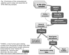 CHESS 2.1：GTExデータセットに基づきヒト遺伝子と転写物のカタログを改訂