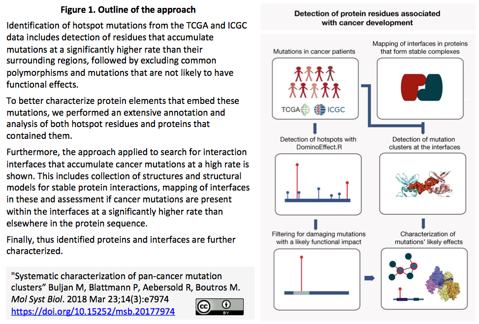 タンパク質の変異ホットスポットから見た遺伝変異と癌化 Crisp Bio