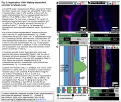 history-dependent integrase 2