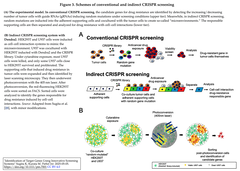 Indirect Screening