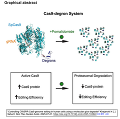 Cas9-degron system