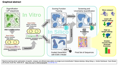 Machine learning-driven optimization of specific GA
