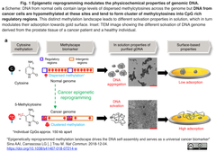 cancer universal marker 1