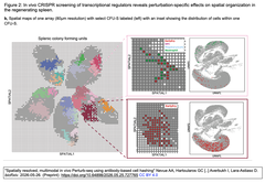 Spatially resolved, multimodal 2-b