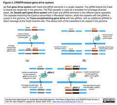 [レビュー] 持続可能な雑草管理を革新する技術：遺伝子ドライブとCRISPR-Cas9