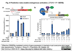 CRISPR 6