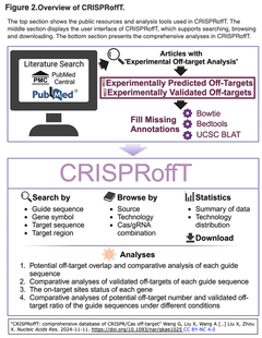 CRISPRoffT: CRISPR技術による遺伝子編集に伴うオフターゲットの包括的データベース