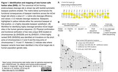 CRISPRメモ_2018/08/22 (5件)