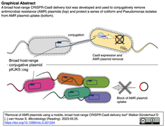 removal of AMR