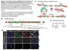 CRISPRメモ_2018/08/30 (12件)