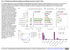 Cas9-EDV 3