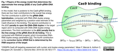 NA duplex energy parameter