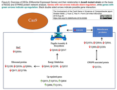 CRISPRメモ_2018/08/21 (2件)