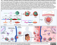 NanoProCas9
