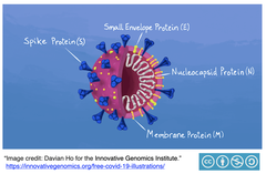 COVID-19感染状況を見て思うこと (最終回)