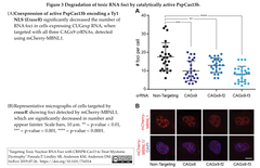 スクリーンショット Eraser