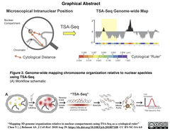 TSA-Seq 1