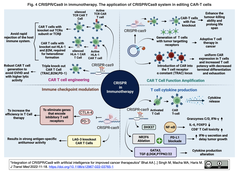 [レビュー] がん療法の向上に向けたCRISPR/Cas9とAIの融合