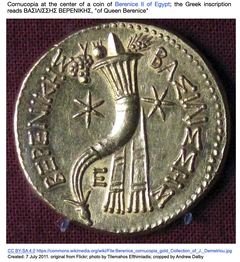 [レビュー] 農作物および薬用植物のCRISPR-Cas9 GE：天然物のコルヌコピアを目指して