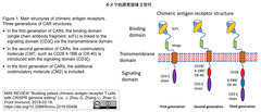 CRISPRメモ_2019/03/20-1 (CAR-T; HIV-1; PD; ジェノタイピング; CRISPR babies)