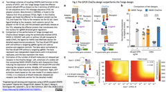 CRISPRメモ_2017/12/27-2（GPCR共役；遺伝子増幅；網膜色素変性；DSB不要の組換え法；新規多孔性材による送達；gap-repairによるプラスミド構築；レビュー２件）