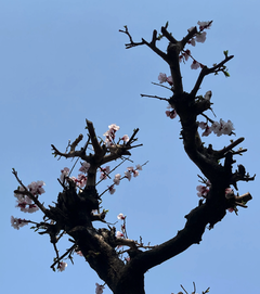 コーヒーブレイク