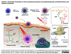 CRISPR/Cas9遺伝子編集の効率向上と時空間制御を光応答型電荷反転ナノベクターで実現