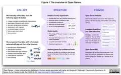 Open Genes - 老化と長寿に関連するヒト遺伝子データベース