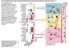 Allele-specific CRISPR perturbation Fig. 6