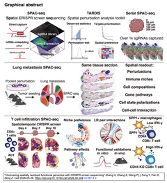 Uncovering spatially resolved functional genomics  GA