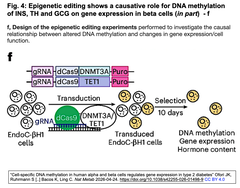 Cell-specific DNA methylation in human Fig. 4- f