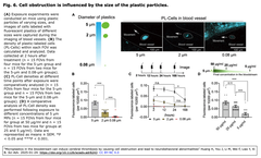 スクリーンショット 2025-01-24 13.04.01