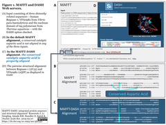 MAFFT-DASH: 配列ホモロジーが弱い構造もホモロジーモデリングに利用可能とするWebサービス登場