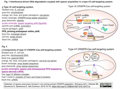 FIg. 1-4