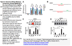 Optimized guide RNA structure for genome editing via Cas9 2