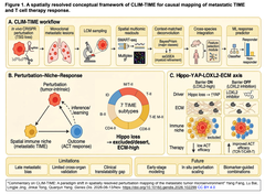 Commentary on CLIM-TIME