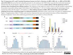 BE3の高精度化 (1)
