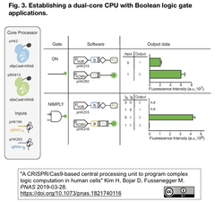 CRISPR-CPU: CRISPRiをコアとする遺伝子発現スイッチと論理素子を開発
