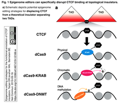 Epigenome editors 1a